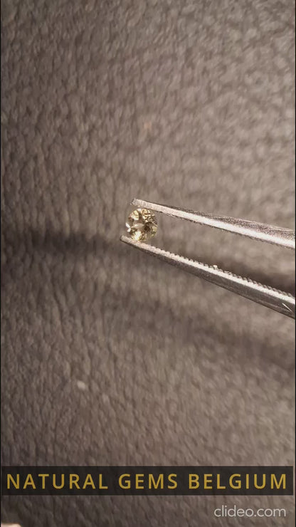 Tourmaline naturelle - vert jaunâtre - 2,4 mm - 0,065 ct - rond - non chauffée
