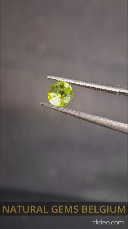 Natural Peridot - 0.515 ct - round - unheated - olive green