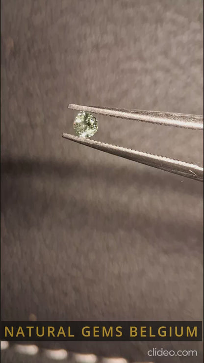 Tourmaline naturelle - vert clair - 2,4 mm - 0,060 ct - ronde - non chauffée