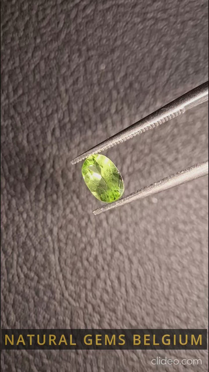 Natural Peridot - 0.544 ct - oval - unheated- green peridot