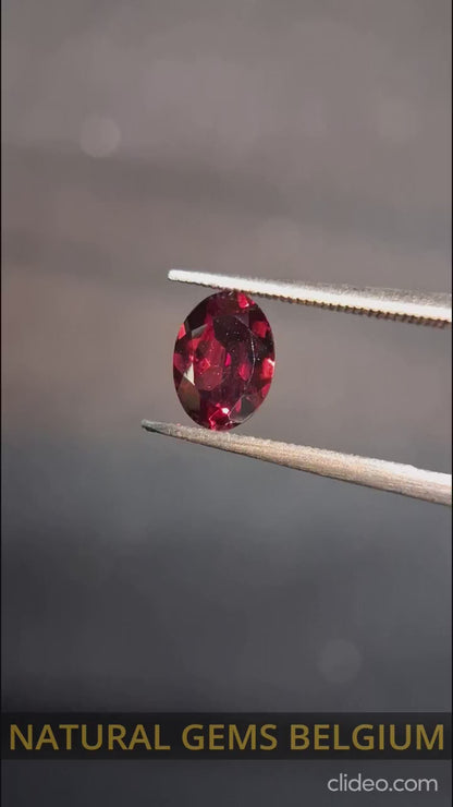 Grenat naturel - Rhodolite - 0,840 ct - ovale - non chauffé - rouge