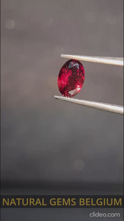 Natural Garnet - Rhodolite - 0.715 ct - oval - unheated- red