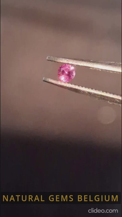 Natural Pink Sapphire - 0.050 ct -2 mm Round cut - unheated - Africa - high quality