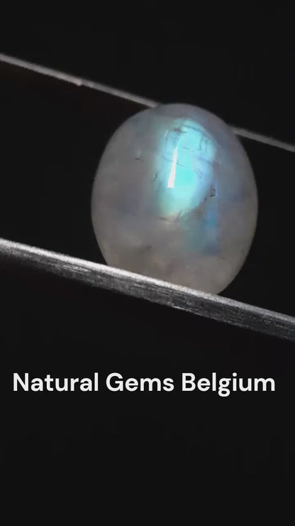 Natural Moonstone - greenish blue adularescence - 13.385 ct - oval cabochon