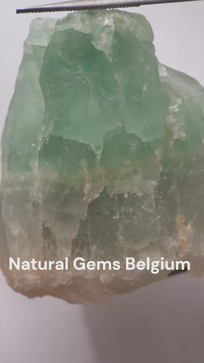 Natural Green Fluorite - 154.93 ct - Rough Gemstone - unheated - Certified by NGB