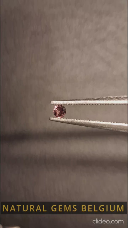 Tourmaline naturelle - rose brunâtre - 2 mm - 0,030 ct - ronde - non chauffée