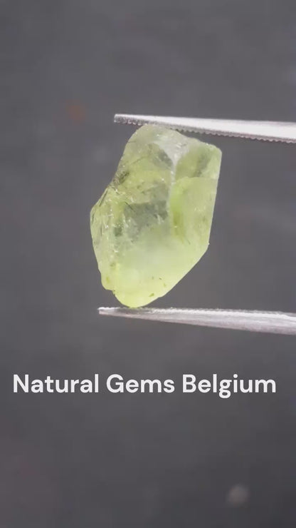 Natural Green Peridot - 7.640 ct - rough gemstone - for faceting - certified natural