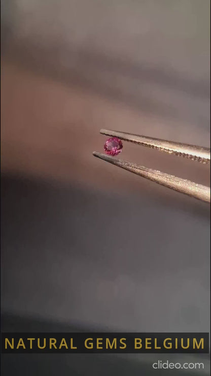 Natural Pink Sapphire - 0.043 ct -2mm Round cut - unheated - Africa - high quality