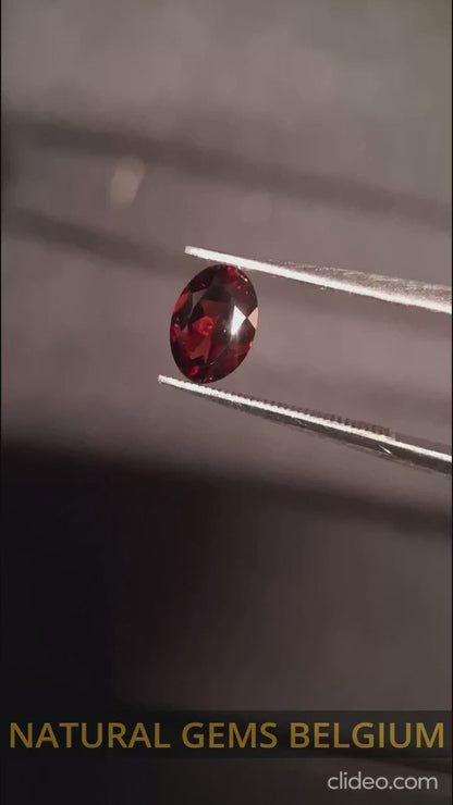 Granato naturale - Rodolite - 0,870 ct - ovale - non riscaldato - rosso