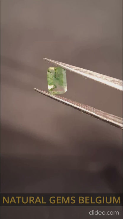 Natural Faceted Agate - Green Moss Agate - 0.485 ct - octagon