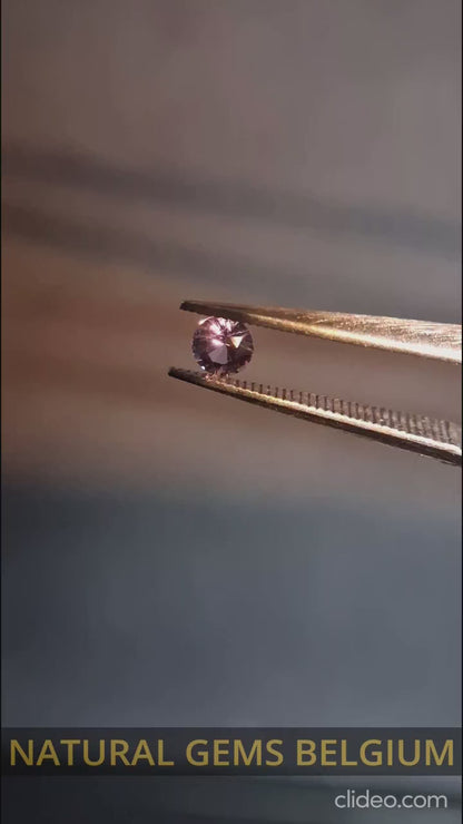 Natural Purple Sapphire - 0.135 ct - Round cut - unheated - Africa - Medium Purple