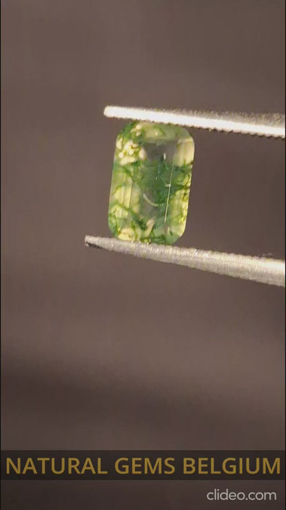 Natural Faceted Agate - Green Moss Agate - 0.451 ct - octagon