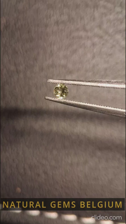 Tourmaline naturelle - vert jaunâtre - 2,4 mm - 0,058 ct - ronde - non chauffée