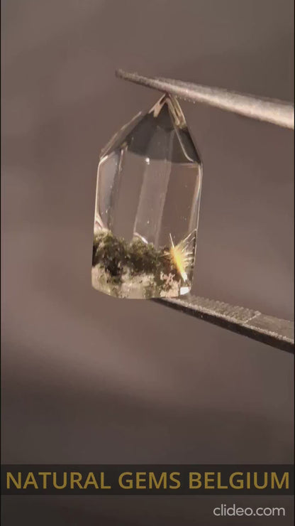 Crystal point of Phantom Quartz - gardenscape yellow flower in desert - collectors item