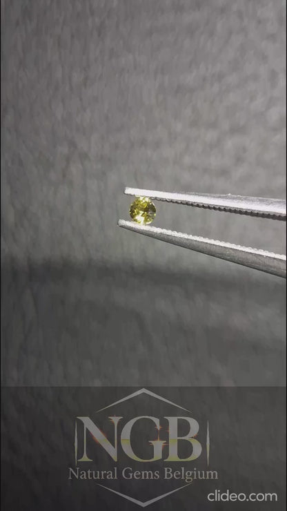 Saphir jaune naturel - 0,034 ct - Taille ronde 2 mm - Chauffé - Afrique