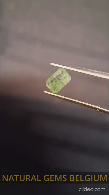 Natural Faceted Agate - Green Moss Agate - 0.479 ct - octagon