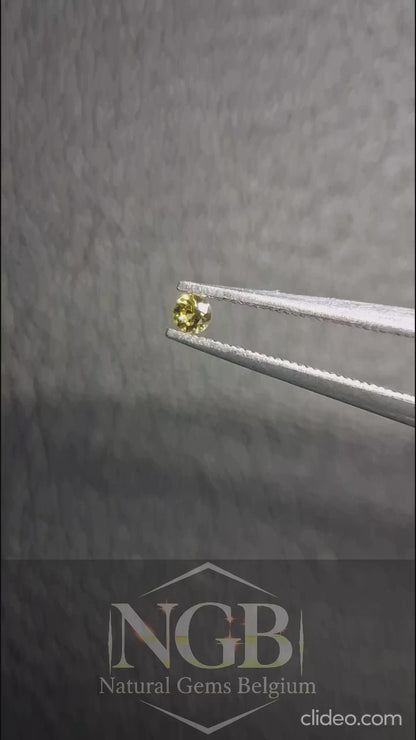 Natural Yellow Sapphire - 0.040 ct -2 mm Round cut - heated - Africa