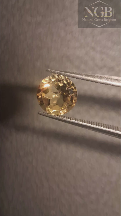 Citrine naturelle – Facettes rondes 7x 7 mm Jaune | Pierre individuelle 1,220 ct