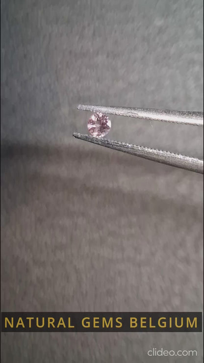 Tourmaline rose clair naturelle – Facettée taille brillant rond 0,063 ct – Pierre précieuse libre de qualité supérieure