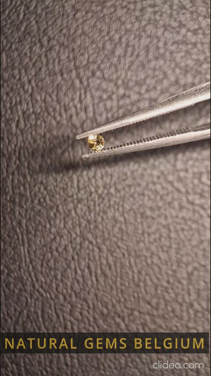 Tourmaline naturelle - jaune verdâtre brunâtre - 2 mm - 0.031 ct - ronde - non chauffée