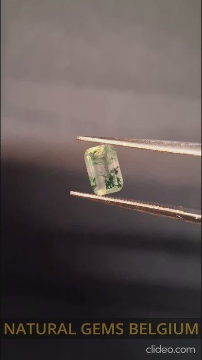 Natural Faceted Agate - Green Moss Agate - 0.478 ct - octagon