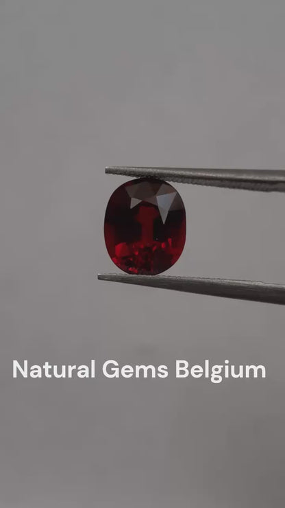 Natural reddish orange Spessartite Garnet - 2.63 ct - Oval - unheated