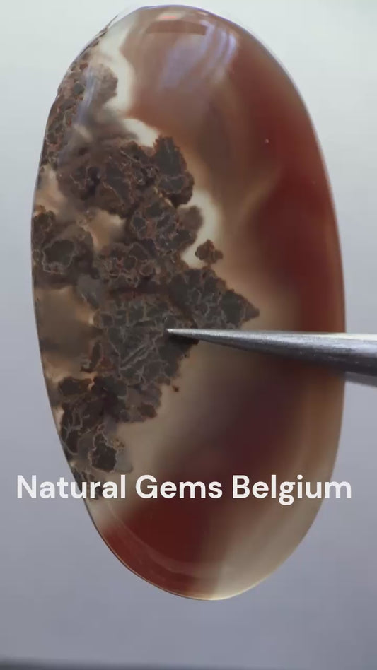 Natural deep red, purplish grey and moss included Botswana Agate - 44.37 ct - oval Cabochon - unique - certified by NGB