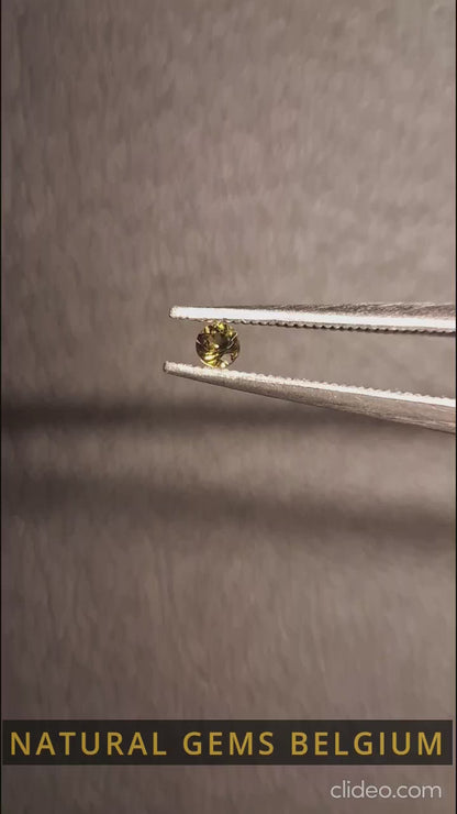Tourmaline naturelle - Vert jaunâtre - 2 mm - 0,031 ct - ronde - non chauffée