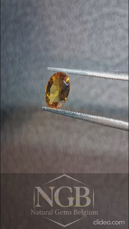 Citrine Naturelle – Ovale Facettée 4x6 mm 0.369 ct Jaune Miel | Pierre Précieuse en Vrac
