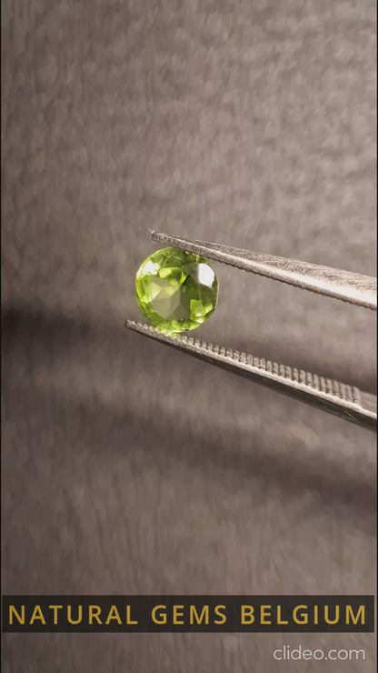 Péridot naturel - 0,499 ct - rond - non chauffé - péridot vert