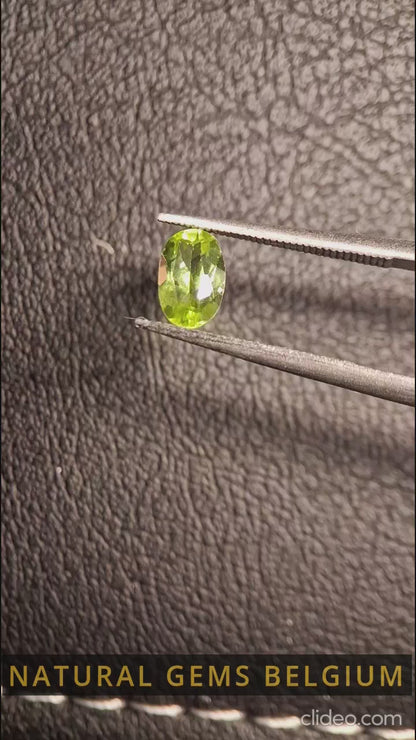 Péridot naturel - 0,510 ct - ovale - non chauffé - péridot vert