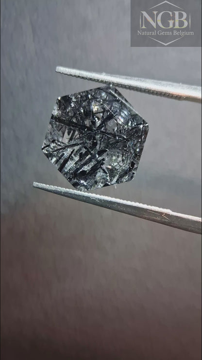 Natural Black Rutilated Quartz Hexagon Cut – 3.720 ct | Unique Included Quartz Gemstone