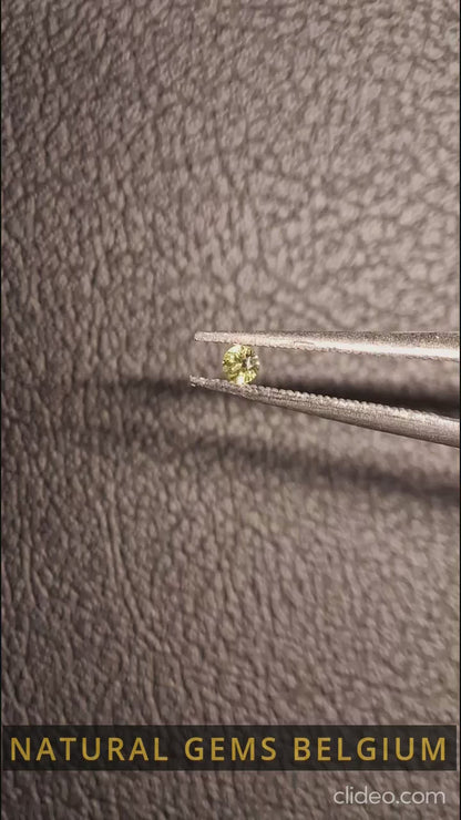 Tourmaline naturelle - Vert jaunâtre - 2 mm - 0,030 ct - rond - non chauffé