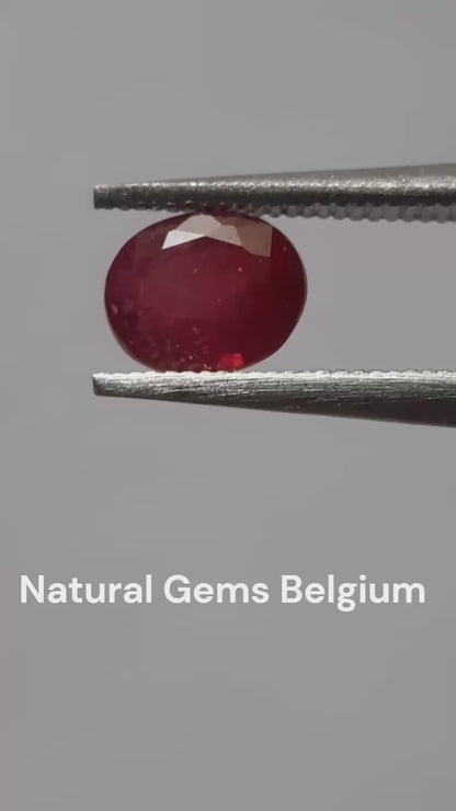 Natural red Ruby - 0.53 ct - oval - heated - Africa - certified by NGB