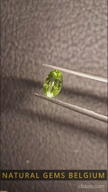 Péridot naturel - 0,525 ct - ovale - non chauffé - péridot vert