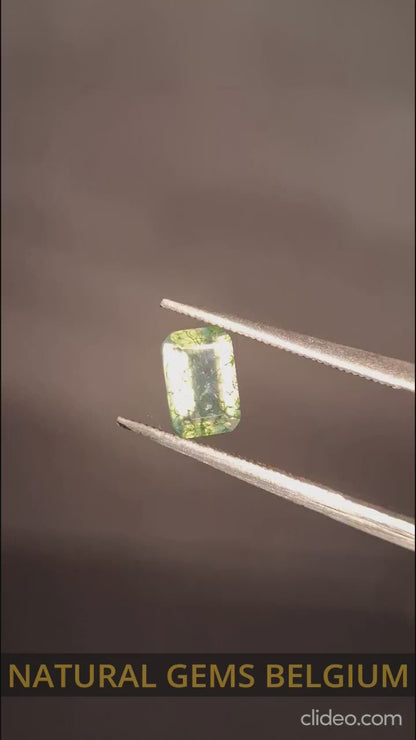 Natural Faceted Agate - Green Moss Agate - 0.463 ct - octagon