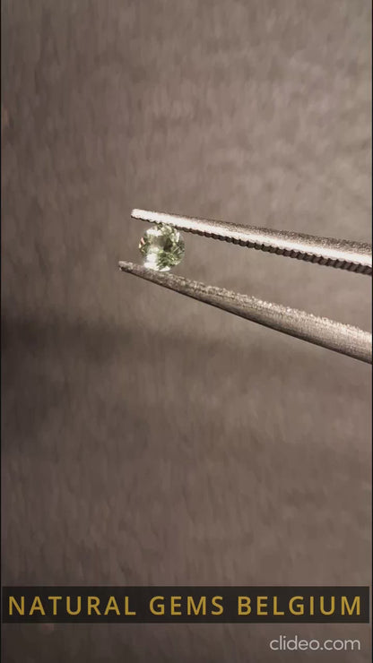 Tourmaline naturelle - vert clair - 2,4 mm - 0,059 ct - ronde - non chauffée