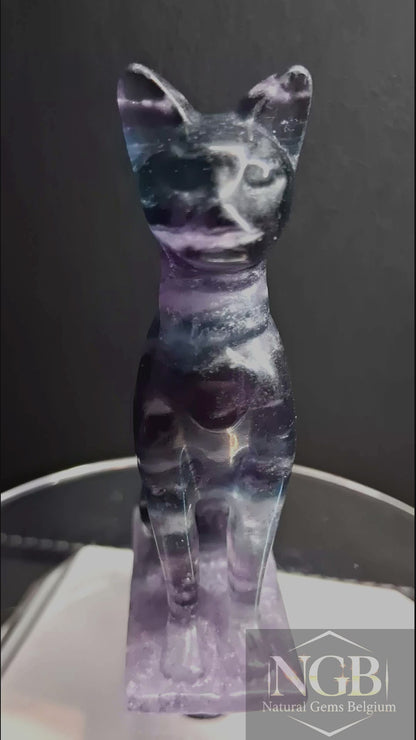Premium Multicolor Fluorite Cat Sculpture on Fluorite Base – Blue Green Purple Fluorite – 6.86 cm