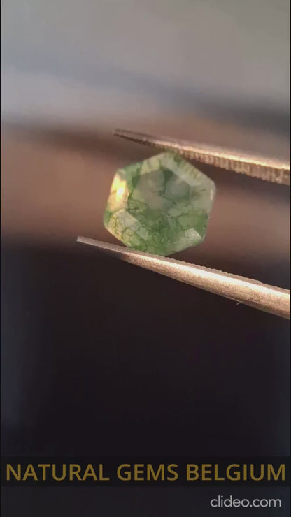 Natural Faceted Agate - Green Moss Agate - 2.038 ct - hexagon