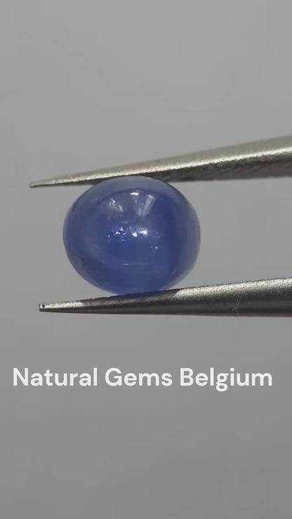 Natural blue Sapphire - 1.28 ct - oval cabochon - Ceylon - heated - certified by NGB