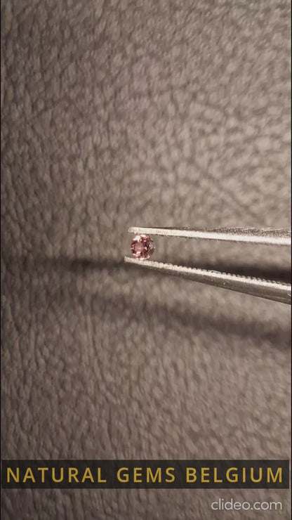 Tourmaline naturelle - rose-brunâtre rougeâtre - 2 mm - 0.030 ct - ronde - non chauffée