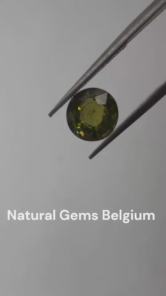 Natural Yellowish green Tourmaline - 1.82 ct - round - unheated - certified by NGB