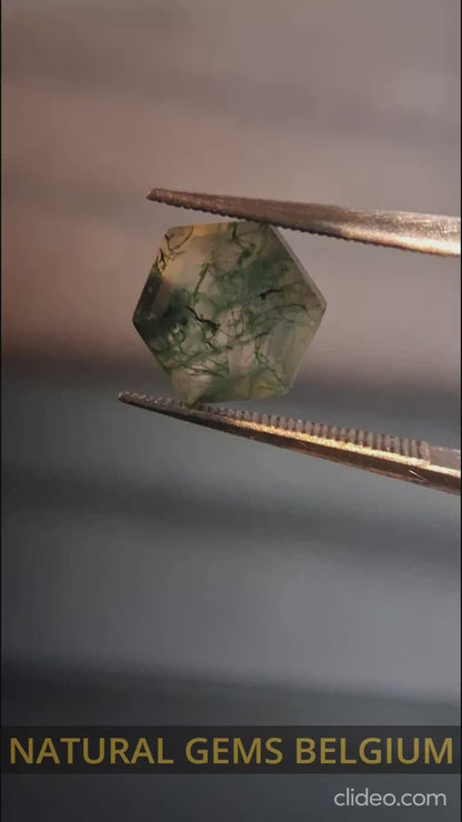 Natural Faceted Agate - Green Moss Agate - 2.035 ct - hexagon