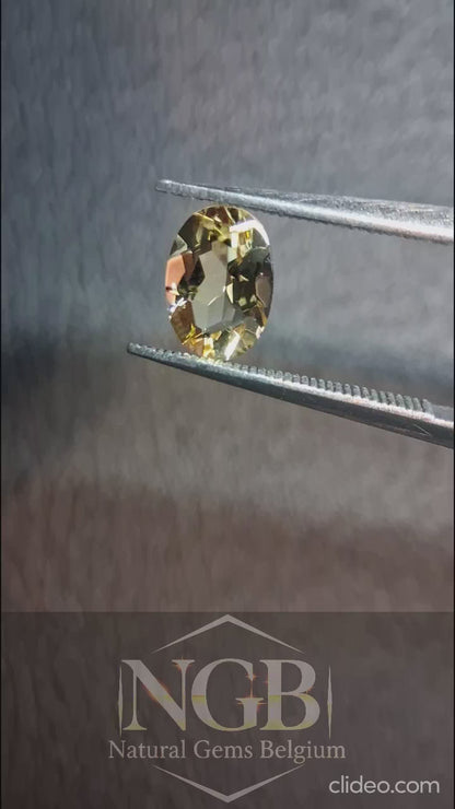 Citrine Naturelle – Ovale Facettée 5x7 mm 0.696 ct Jaune Soleil | Pierre Gemme en Vrac