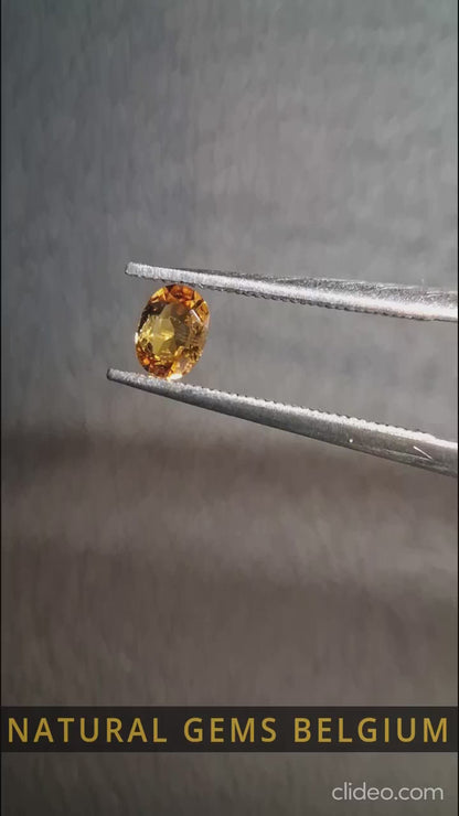 Citrine Naturelle – Ovale facettée 3x4 mm 0,146 ct Jaune doré | Pierre précieuse seule