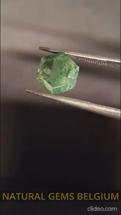 Natural Faceted Agate - Green Moss Agate - 1.990 ct - hexagon