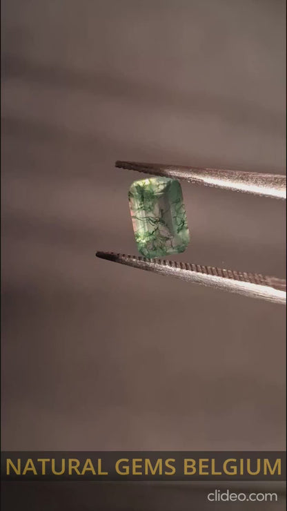 Natural Faceted Agate - Green Moss Agate - 0.480 ct - octagon