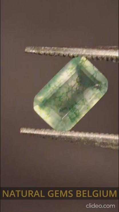 Natural Faceted Agate - Green Moss Agate - 0.476 ct - octagon