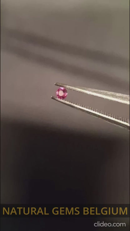 Natural Pink Sapphire - 0.043 ct -2mm Round cut - unheated - Africa - high quality
