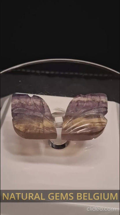 Fluorite naturelle - arc-en-ciel - paire de feuilles/ailes - 51 ct - sculptée à la main